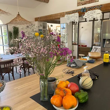 Vila Bastide Uzes A Pied Avec Piscine Maison Les Ailes