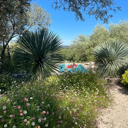 Bastide A Pied Avec Piscine Maison Les Ailes Vila Uzès